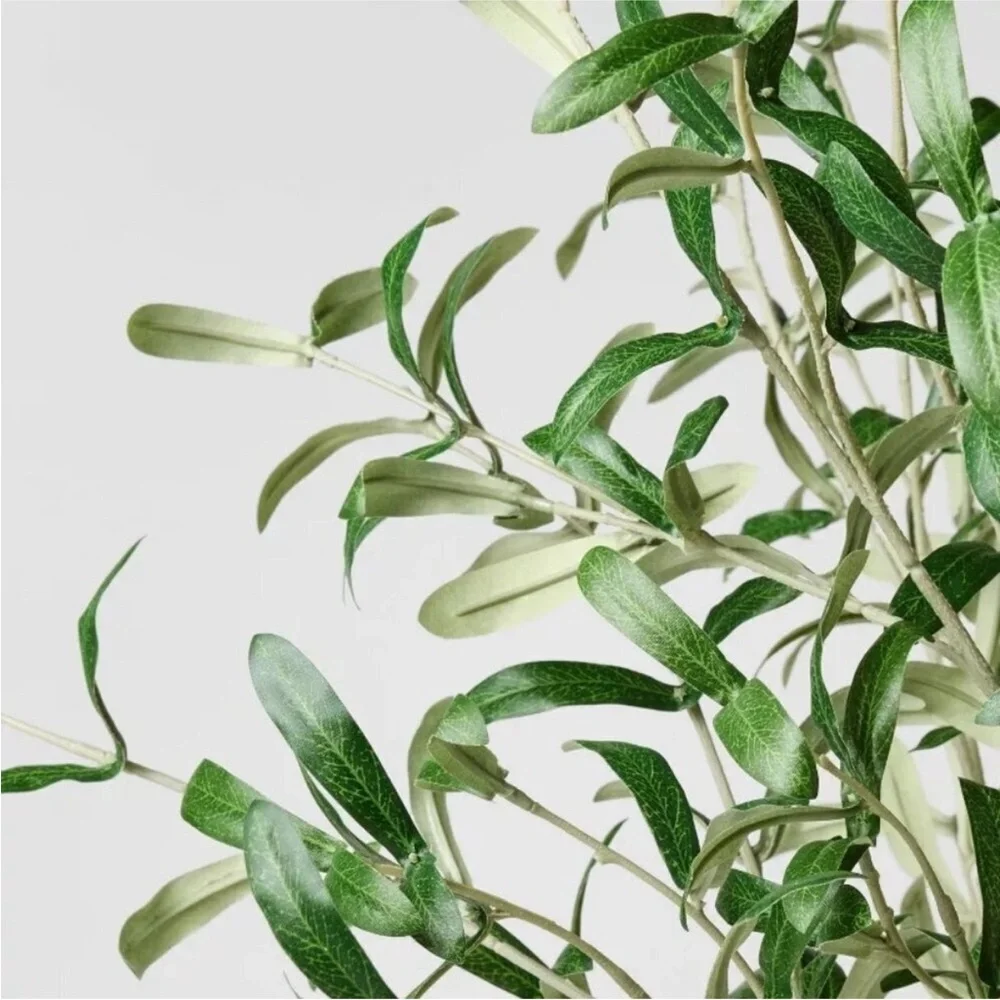 Olive Leaf Potted Arrangement - Threshold designed with Studio McGee